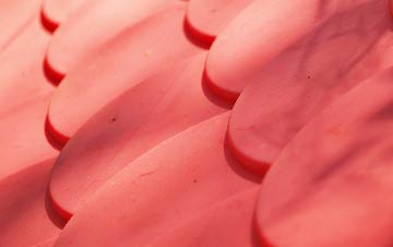 Cattedown plastic roof costs